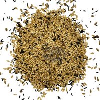 Manitoba Kanarienfutter T3 Mischung ohne Rübsen 20kg