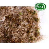 Nestmaterial Sisal Fibre 15JCM Juta-Cotone-Moss 500g