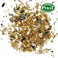 Großsittich 1 800g