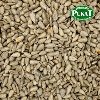 Sonnenblumenkerne geschält 500g