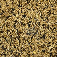 Manitoba Kanarienfutter T3 Mischung 1kg (lose gepackt)
