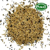 Manitoba Kanarienfutter T3 Mischung 1kg