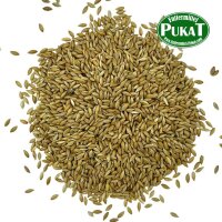 Manitoba Glanzsaat (kanadische Kanariensaat) 1kg