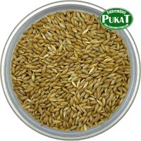 Manitoba Glanzsaat (kanadische Kanariensaat) 1kg