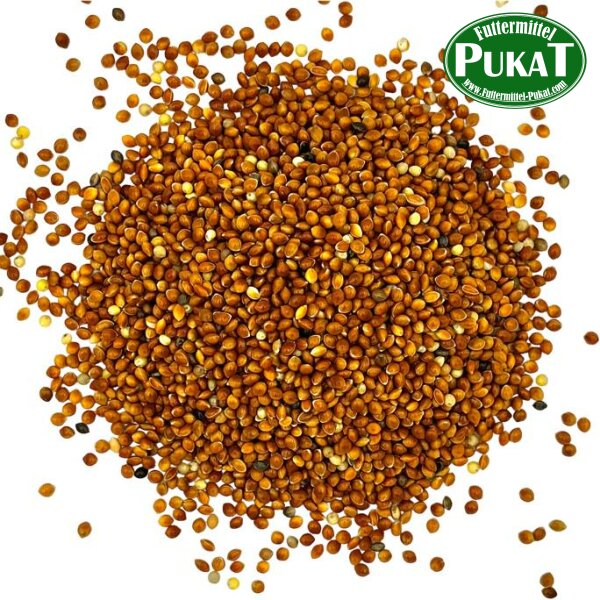 Hirse rot 400g