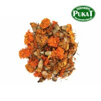 Tagetesblüten für Vögel 60g