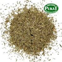 Grassamen Standard 10kg