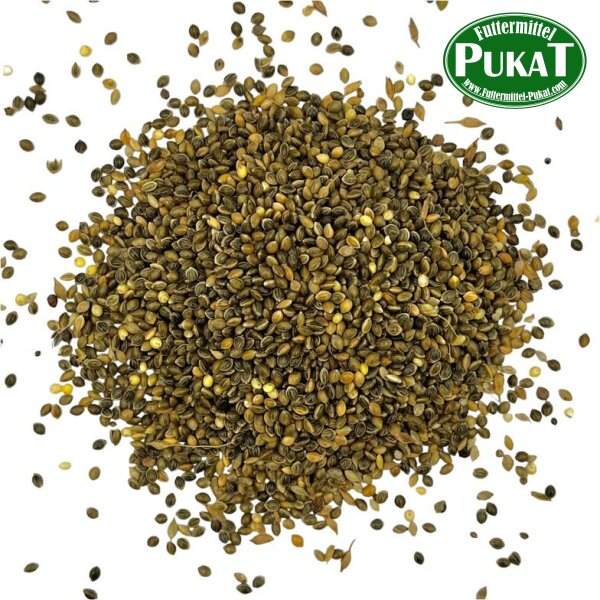 Hirse grün 1kg
