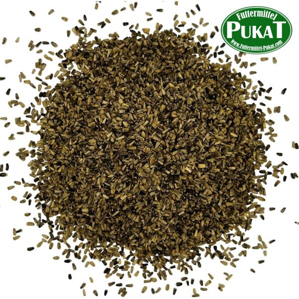 Zichoriensamen 1kg