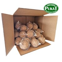 Power-Knödel mit Insekten im Bio-Netz 96x 112,5g