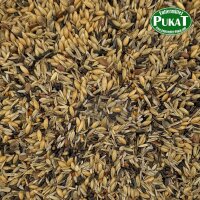 Manitoba Zeisigfutter Spinus & Spinus 2,5kg