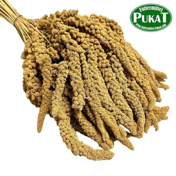 Kolbenhirse - Gelb Frankreich 25kg