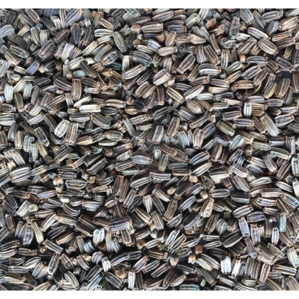 Manitoba Wild Distelsamen (KARDO SELVATICO) 500g