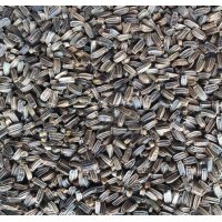 Manitoba Wild Distelsamen (KARDO SELVATICO) 500g