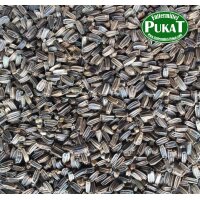 Wild Distelsamen (KARDO SELVATICO) 500g