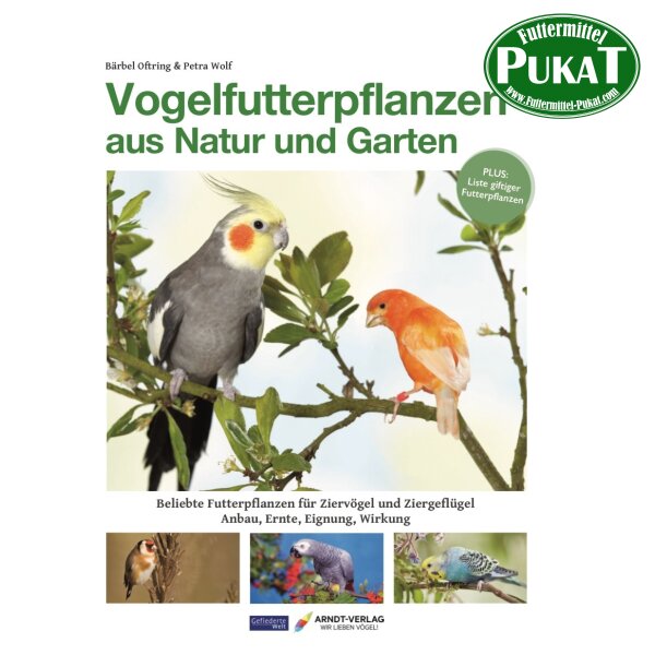 Vogelfutterpflanzen aus Natur und Garten
