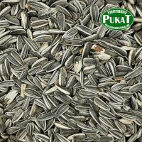 Sonnenblumenkerne gestreift 200g