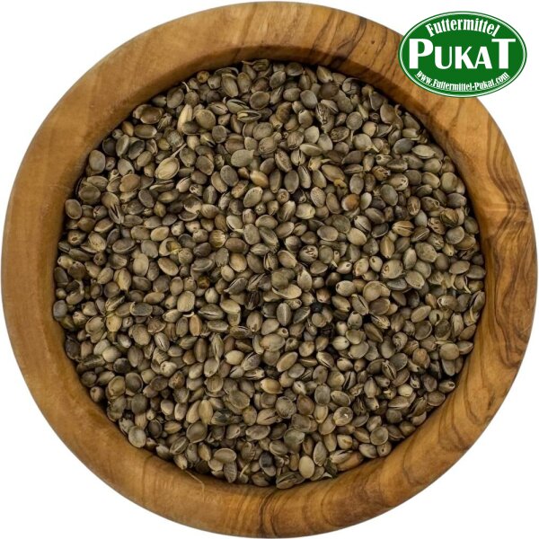 Germix Hanfsaat (gekeimt) 1kg