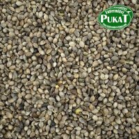 Germix Hanfsaat (gekeimt) 1kg