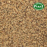 Bird Supreme Kanarien Extra mit Rübsen 20kg