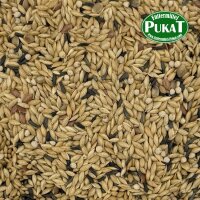 Manitoba Kanarienfutter T3 Platinum 1kg