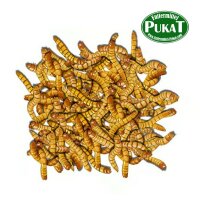 Psittacus Insektenfresser Gel 1kg