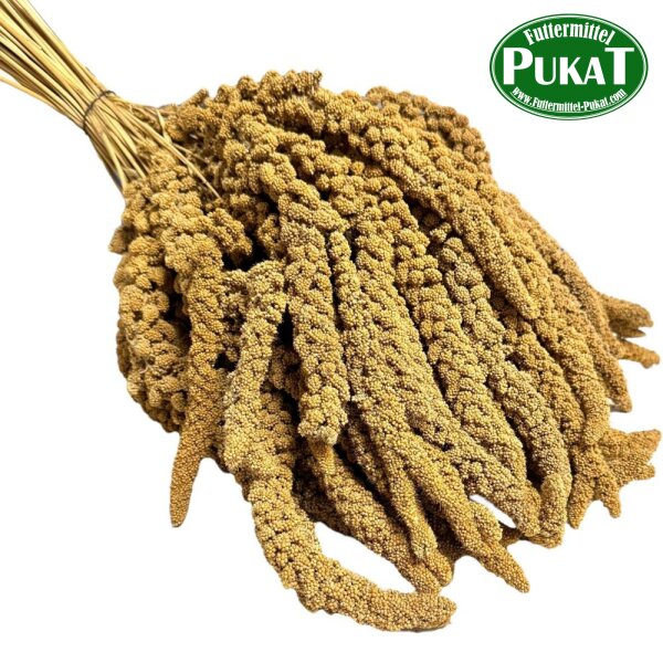Kolbenhirse - Gelb Frankreich 1kg