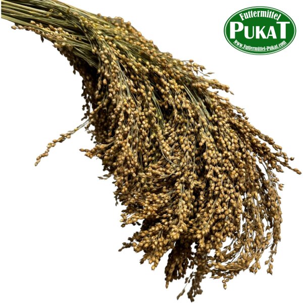 Rispenhirse 250g