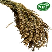 Rispenhirse 100g