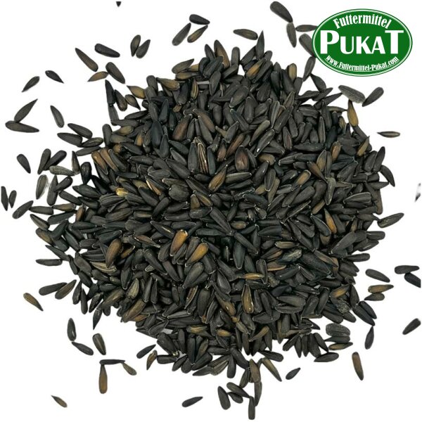 Sonnenblumenkerne mini  schwarz 1kg