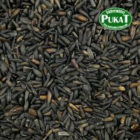 Sonnenblumenkerne mini  schwarz 1kg
