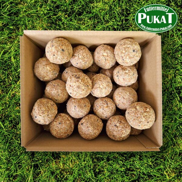 Power-Knödel mit Insekten ohne Netz 32x 112,5g