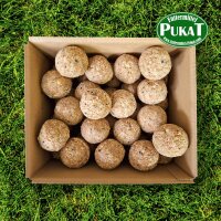 Power-Knödel mit Insekten ohne Netz 32x 112,5g