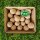 Power-Knödel mit Insekten ohne Netz 32x 112,5g