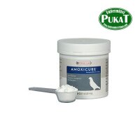 Oropharma Amoxicure