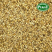 Germix Exoten (Keimfutter Exoten) 300g