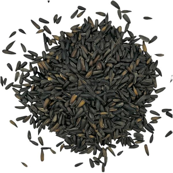 Manitoba Sonnenblumenkerne mini schwarz 4x1kg