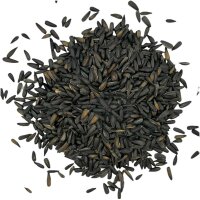 Manitoba Sonnenblumenkerne mini schwarz 4x1kg