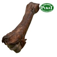Pferde-Knochen 1 Stck