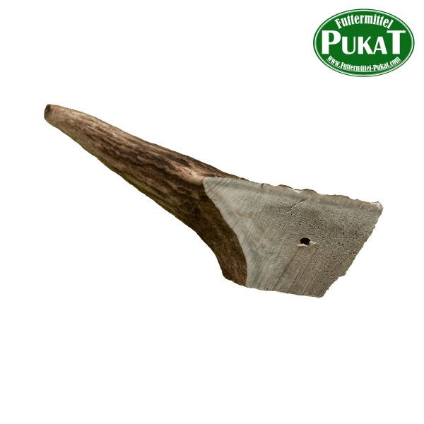 Hirsch-Geweih Gr. L 80-120 g
