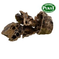 Pferdelunge 100 g