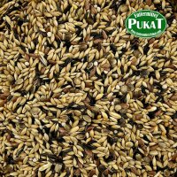 DV16 Kanarien Zucht ohne Rübsen 1kg