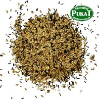 DV16 Kanarien Zucht ohne Rübsen 5kg