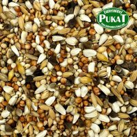DV39 Papageien Light 1kg