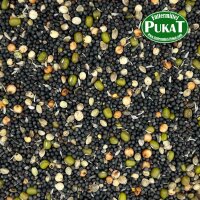 KF18 Keimfutter Kanarien  + Rübsen 1kg