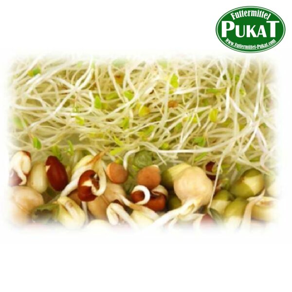 KF31 Keimfutter-Quellfutter Papageien mittel 1kg
