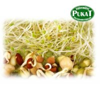 KF31 Keimfutter-Quellfutter Papageien mittel 1kg