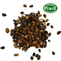 Zirbelnüsse 1kg