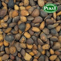 Zirbelnüsse 1kg