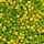 Ornitalia Perle Morbide Frutis Grün 900g (lose)